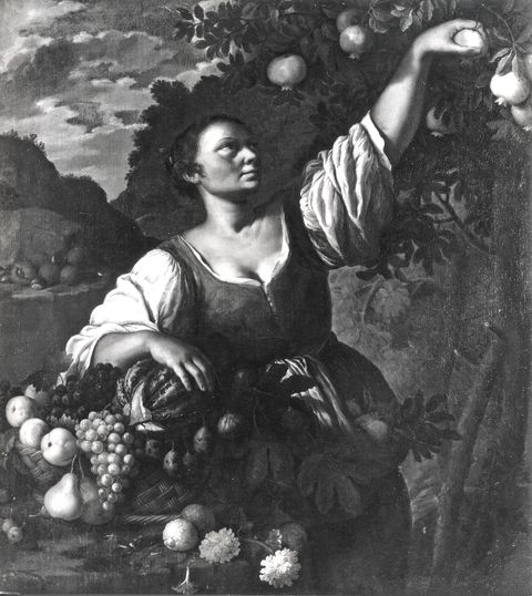 A. C. Cooper — Anonimo romano sec. XVII - Figura femminile con frutta — insieme